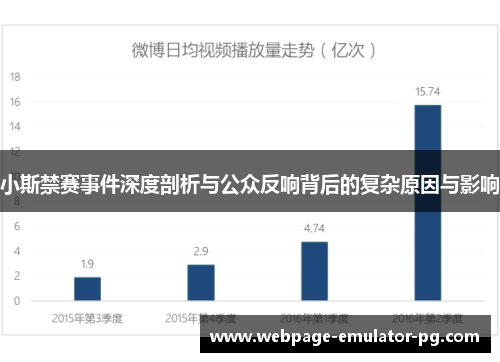 小斯禁赛事件深度剖析与公众反响背后的复杂原因与影响