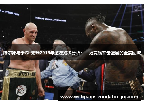 维尔德与泰森·弗瑞2018年激烈对决分析:一场震撼拳击盛宴的全景回顾 维尔德与泰森·弗瑞2018年激烈对决分析:一场震撼拳击盛宴的全景回顾