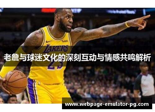 老詹与球迷文化的深刻互动与情感共鸣解析