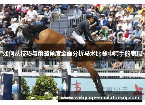 如何从技巧与策略角度全面分析马术比赛中骑手的表现